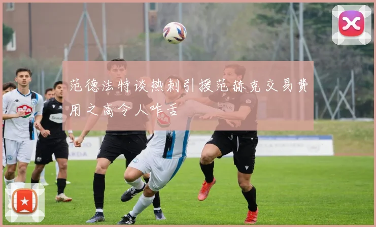 范德法特谈热刺引援范赫克交易费用之高令人咋舌